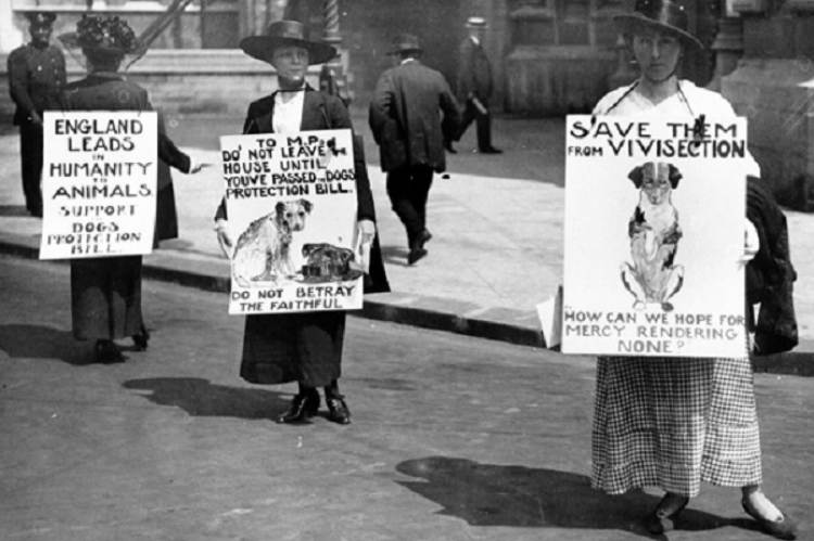 Állatkínzás-ellenes tüntetés, 1919 (Forrás: Cruelty-Free International)