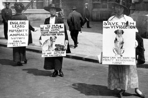 Állatkínzás-ellenes tüntetés, 1919 (Forrás: Cruelty-Free International)